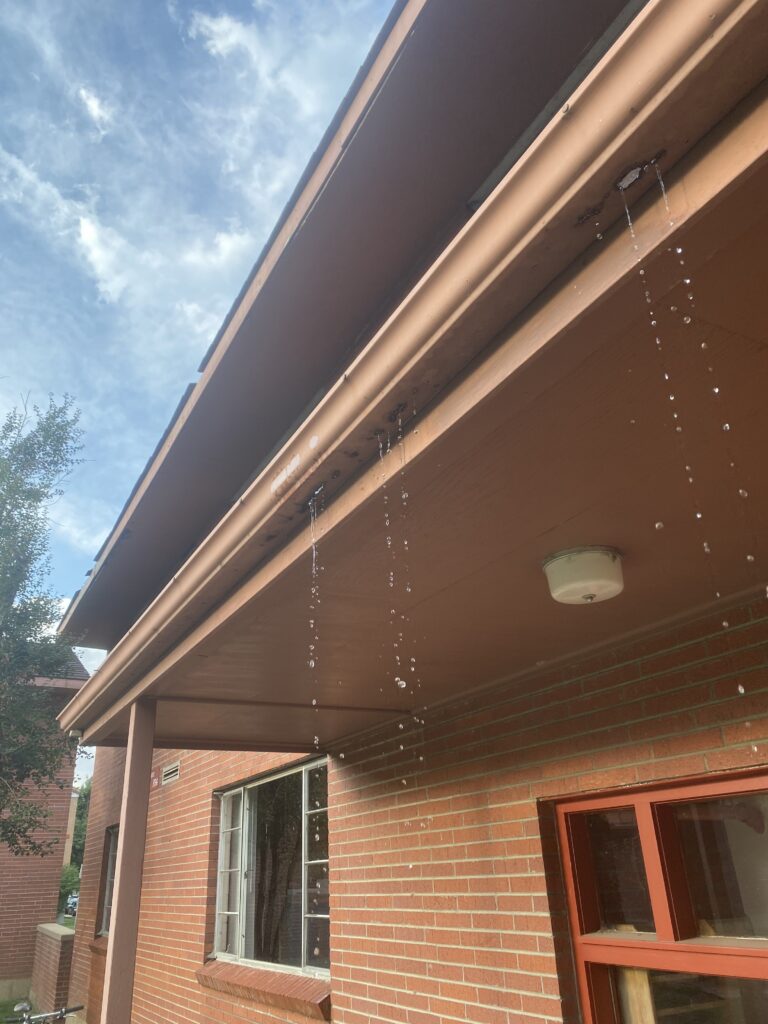 Windows Gutters Etc